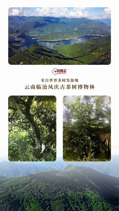 微信图片_20241226152515-缩.PNG