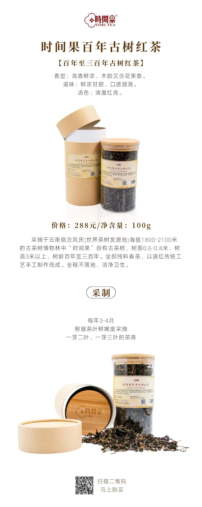 饮一杯香茗 品百年茶韵-饮一杯香茗 品百年茶韵